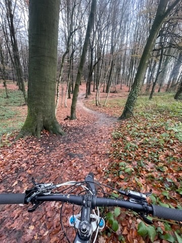 MTB rit door het bos